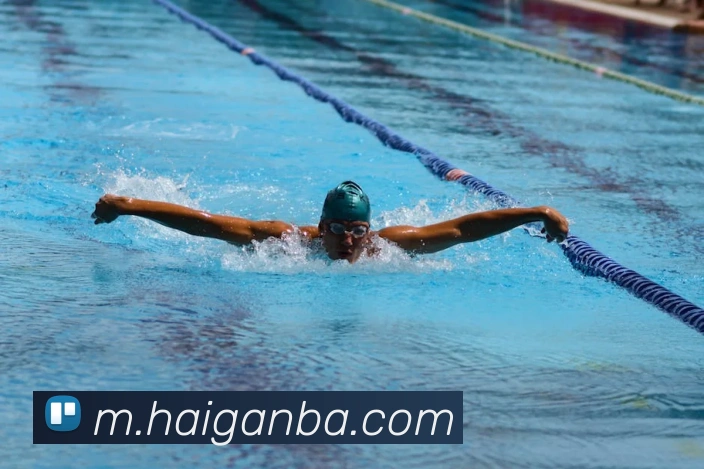 nba投注网站平台生态图